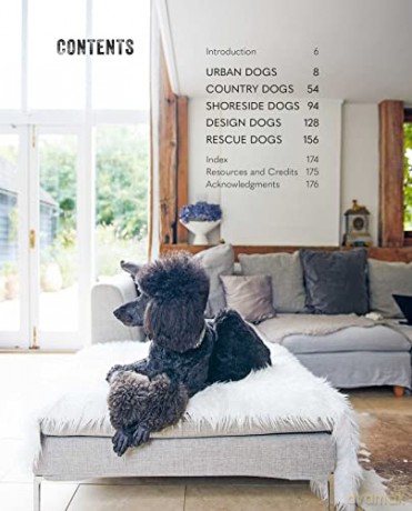 Cool Dogs Cool Homes - Geraldine James [KSIĄŻKA]