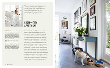 Cool Dogs Cool Homes - Geraldine James [KSIĄŻKA]