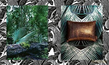Casa Cavalli Home - Fausto Puglisi [KSIĄŻKA]
