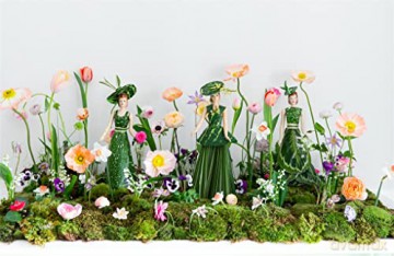 Cathy B Graham Full Bloom - Cathy B Graham [KSIĄŻKA]