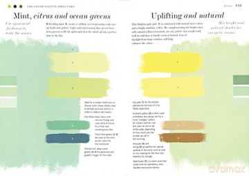Colour Scheme Bible - Anna Starmer [KSIĄŻKA]