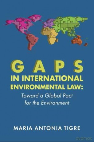 Gaps In International Environmental Law - Tigre [KSIĄŻKA]