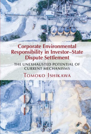Corporate Environmental Responsibility - Ishikawa Tomoko [KSIĄŻKA]