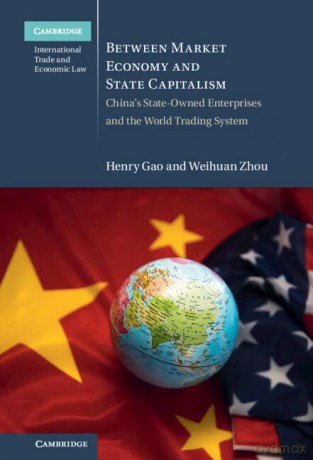 Between Market Economy And State Capita - Gao Henry [KSIĄŻKA]