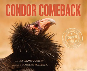 Condor Comeback Pb - Montgomery Sy [KSIĄŻKA]