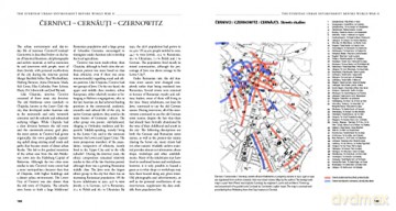 City As A Political Pawn - Bo (Ed) Larsson [KSIĄŻKA]