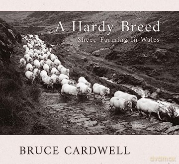 Hardy Breed - Bruce Cardwell [KSIĄŻKA]