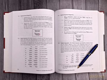 Basics Of Biblical Hebrew Grammar - Van Pelt Pratico [KSIĄŻKA]
