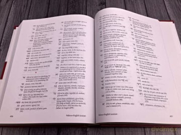 Basics Of Biblical Hebrew Grammar - Van Pelt Pratico [KSIĄŻKA]