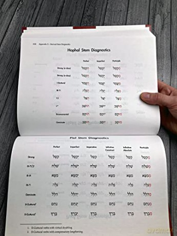Basics Of Biblical Hebrew Grammar - Van Pelt Pratico [KSIĄŻKA]