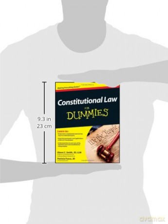 Constitutional Law For Dummies - SmithGlenn [KSIĄŻKA]