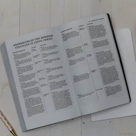 Holy Bible [KSIĄŻKA]