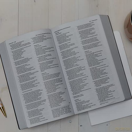 Holy Bible [KSIĄŻKA]