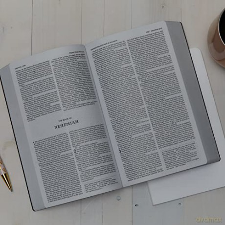 Holy Bible [KSIĄŻKA]