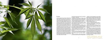 American Cannabis Story An - David Goodman [KSIĄŻKA]