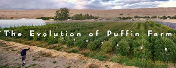 American Cannabis Story An - David Goodman [KSIĄŻKA]