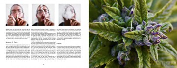 American Cannabis Story An - David Goodman [KSIĄŻKA]