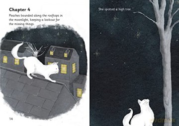 Big Cat Phonics For Little Wandle Letter - Emil Guille-Marrett [KSIĄŻKA]