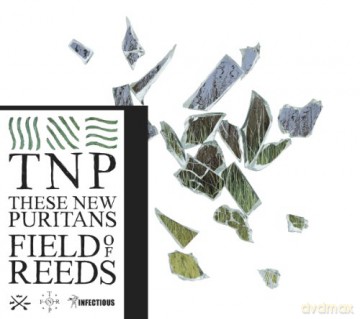 These New Puritans: Field Of Reeds [CD]