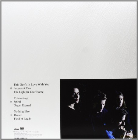 These New Puritans: Field Of Reeds [CD]