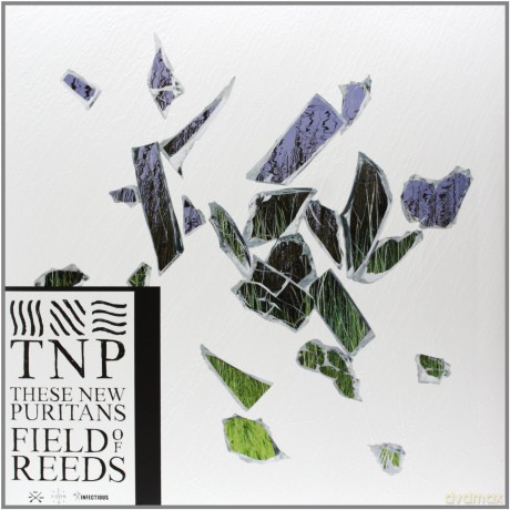 These New Puritans: Field Of Reeds [CD]