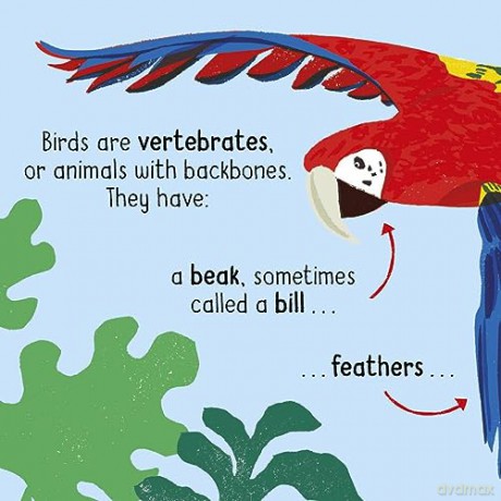 50 Words About Nature Birds - Tara Pegley-Stanger [KSIĄŻKA]