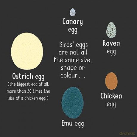 50 Words About Nature Birds - Tara Pegley-Stanger [KSIĄŻKA]