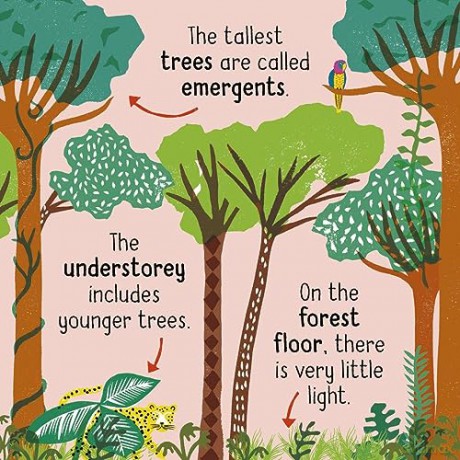 50 Words About Nature Plants - Tara Pegley-Stanger [KSIĄŻKA]