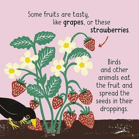 50 Words About Nature Plants - Tara Pegley-Stanger [KSIĄŻKA]