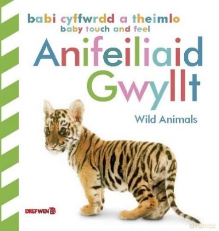 Babi Cyffwrdd A Theimlo Anifeiliad Gwyll [KSIĄŻKA]