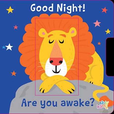 Good Night Are You Awake - Nastja Holtfreter [KSIĄŻKA]