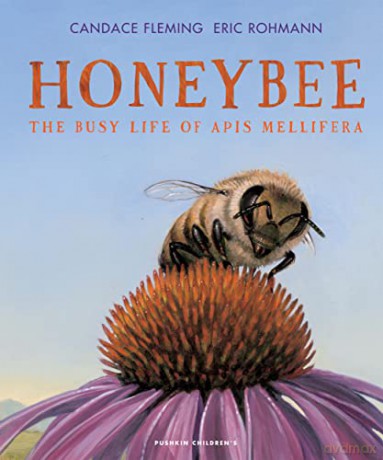 Honeybee - Candace Fleming [KSIĄŻKA]