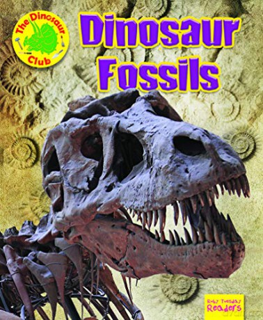 Dinosaur Fossils - Ruth Owen [KSIĄŻKA]
