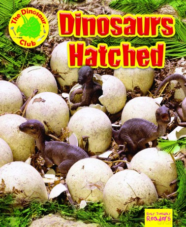 Dinosaurs Hatched - Ruth Owen [KSIĄŻKA]
