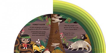 Explore The Rainforest - Carly Madden [KSIĄŻKA]