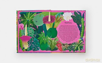 Home For Every Plant - Matthew Biggs [KSIĄŻKA]