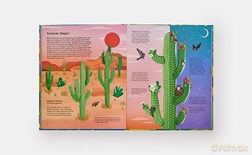 Home For Every Plant - Matthew Biggs [KSIĄŻKA]