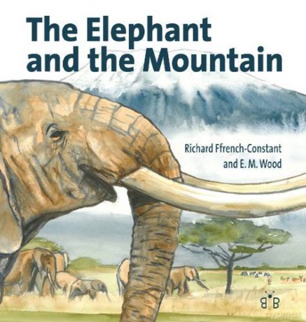 Elephant And The Mountain - R French-Constant [KSIĄŻKA]