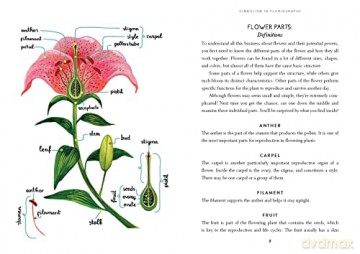 How To Speak Flower - Molly Williams [KSIĄŻKA]