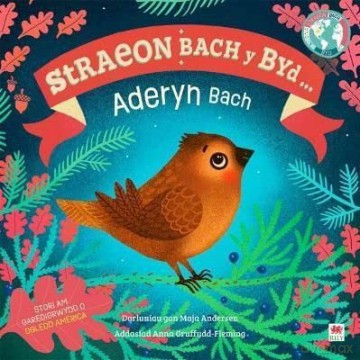 Aderyn Bach Little Bird - Dk [KSIĄŻKA]