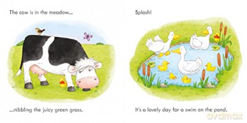 Find The Duck On The Farm - Kate Nolan [KSIĄŻKA]