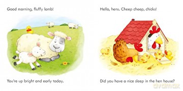 Find The Duck On The Farm - Kate Nolan [KSIĄŻKA]
