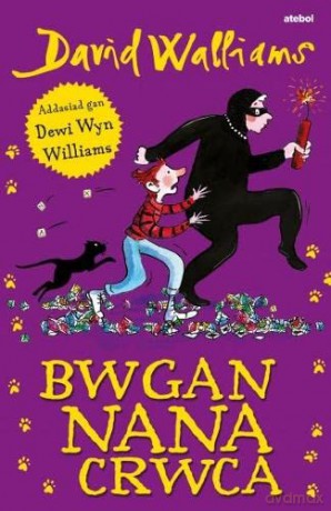Cyfrinach Nana Crwca 2 - David Walliams [KSIĄŻKA]