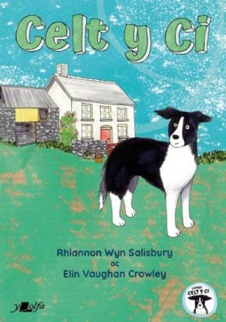 Celt Y Ci - SalisburyRhiannon [KSIĄŻKA]