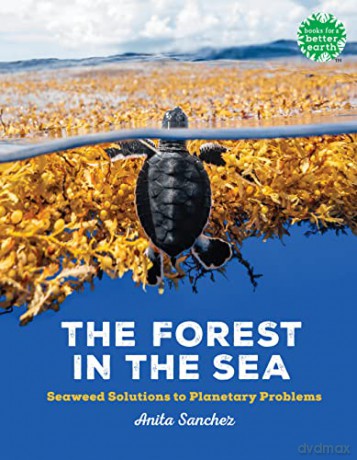 Forest In The Sea - Anita Sanchez [KSIĄŻKA]