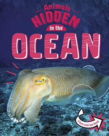 Animals Hidden In The Ocean - Jessica Rusick [KSIĄŻKA]