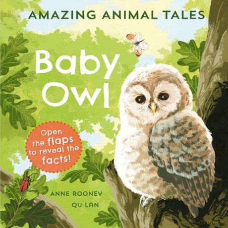 Amazing Animal Tales Baby Owl [KSIĄŻKA]