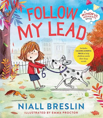 Follow My Lead - Niall Brelin [KSIĄŻKA]