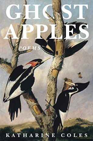 Ghost Apples [KSIĄŻKA]