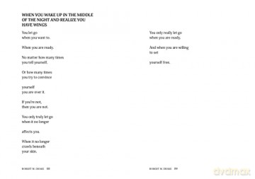 Beautiful Sad Eyes Weary Waiting/Love - Robert M Drake [KSIĄŻKA]